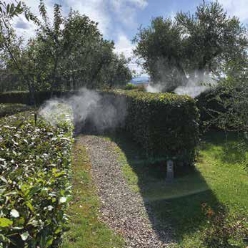 Giardini verticali: soluzioni creative per spazi ridotti