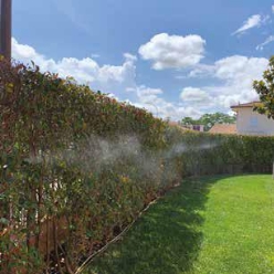 Giardino delle farfalle: come attirare e sostenere gli insetti benefici