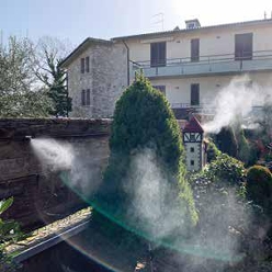 Come creare un giardino roccioso suggestivo per l'inverno