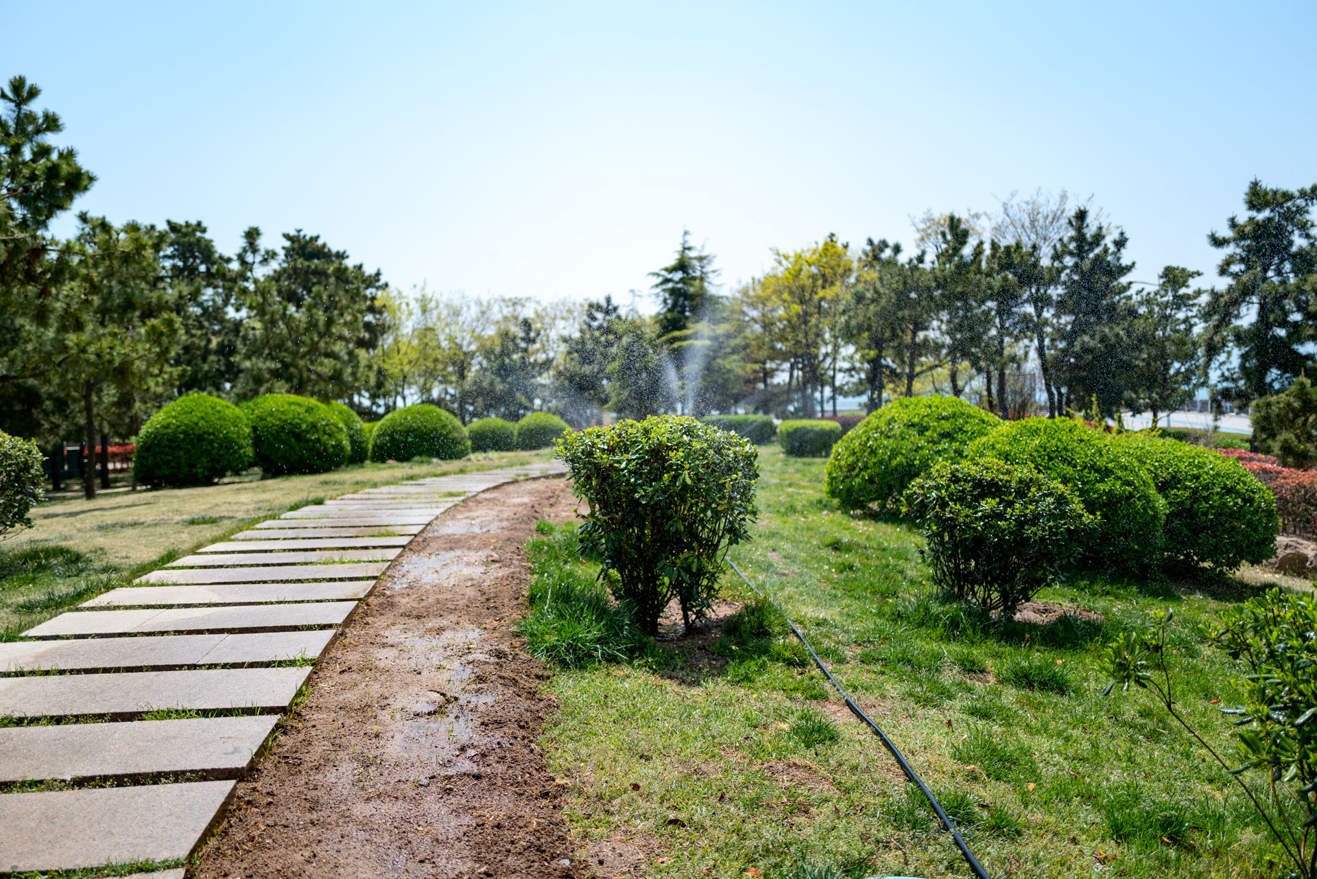 Parco urbano con impianto di irrigazione a goccia.