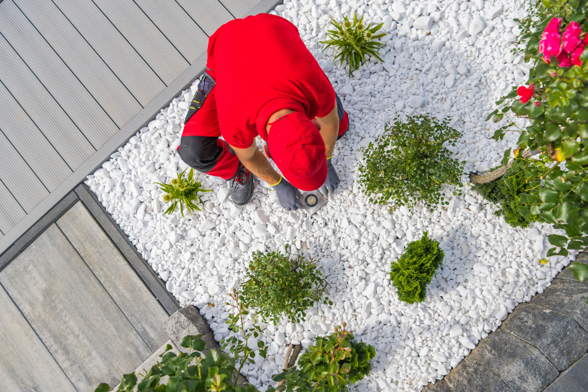 Piantumazione del giardino