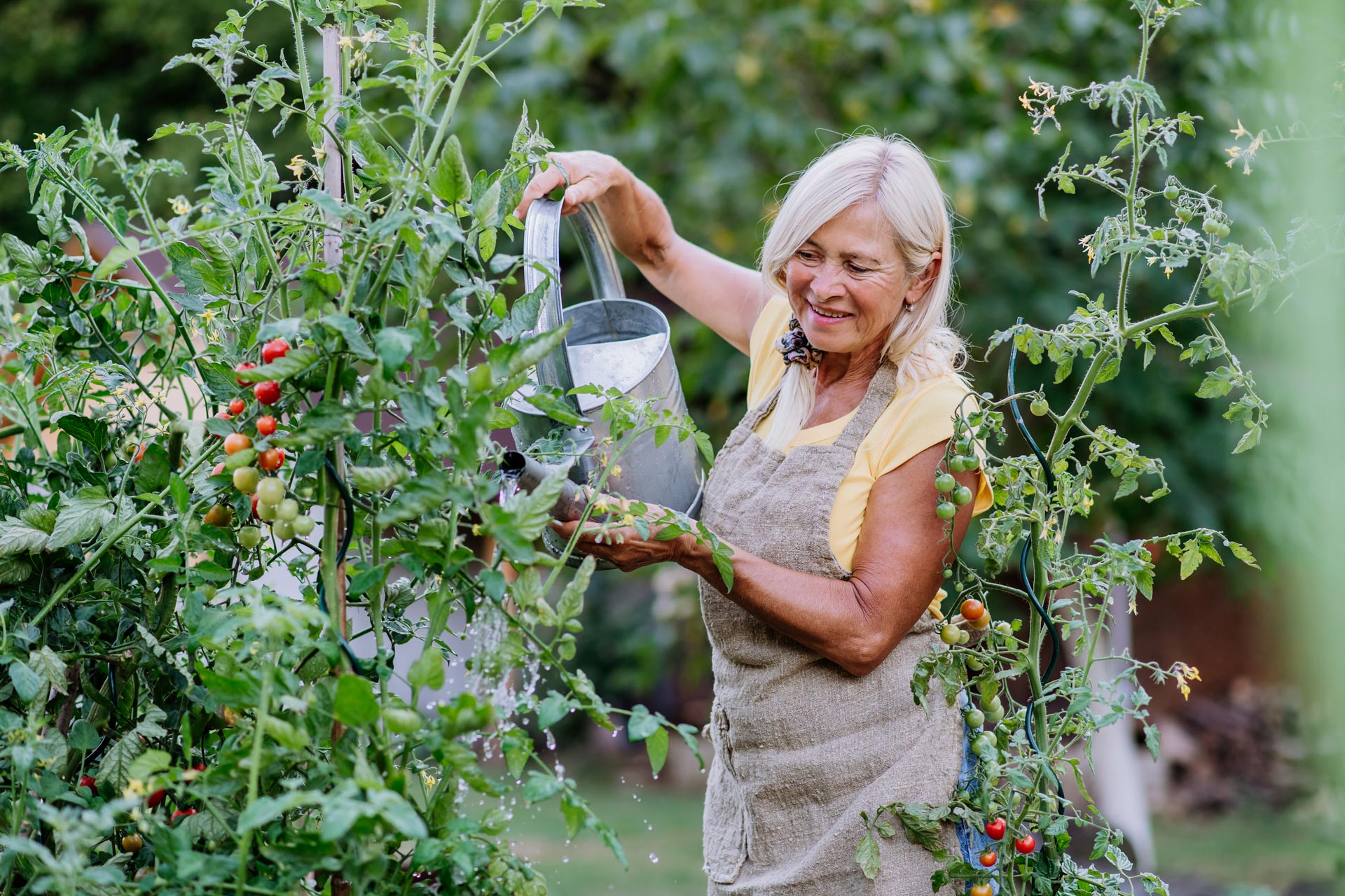 Una donna di mezza età si prende cura del suo orto.