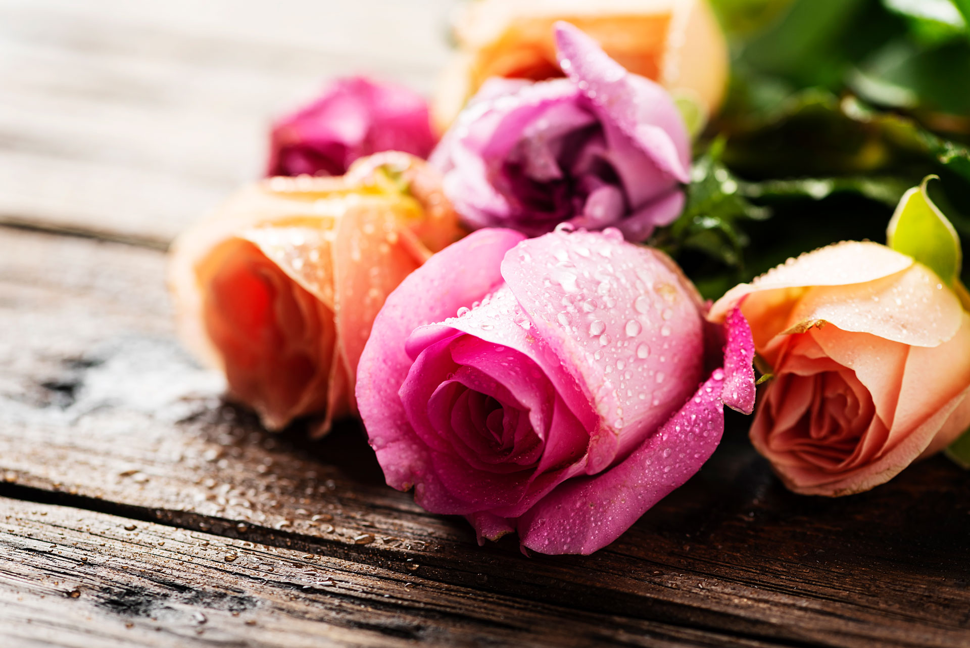 Le rose: sono eleganti e raffinate, da sempre. Ecco un particolare di rose rosa e gialle assieme.