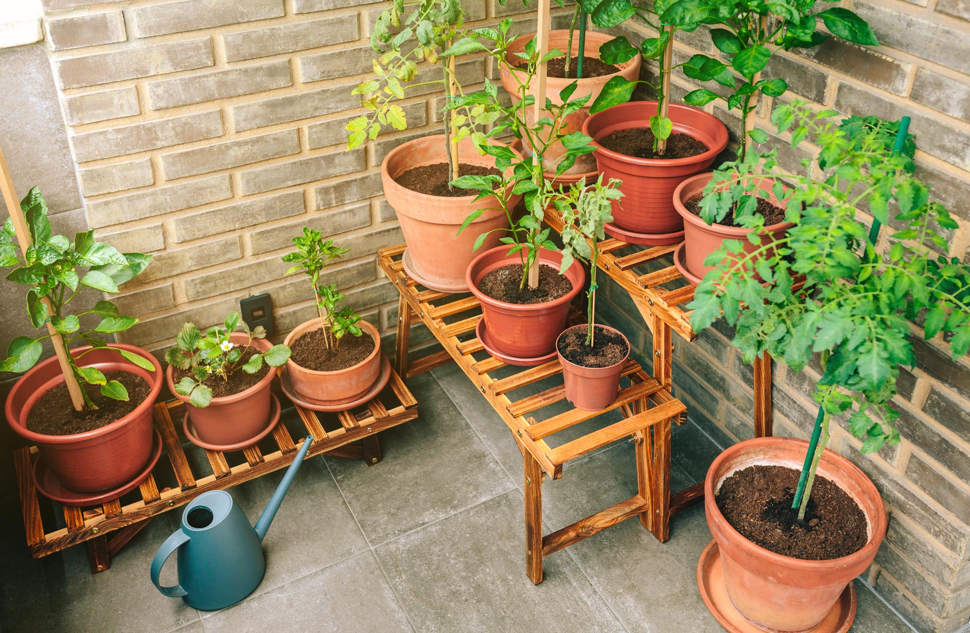 Vasi ordinati in una terrazza