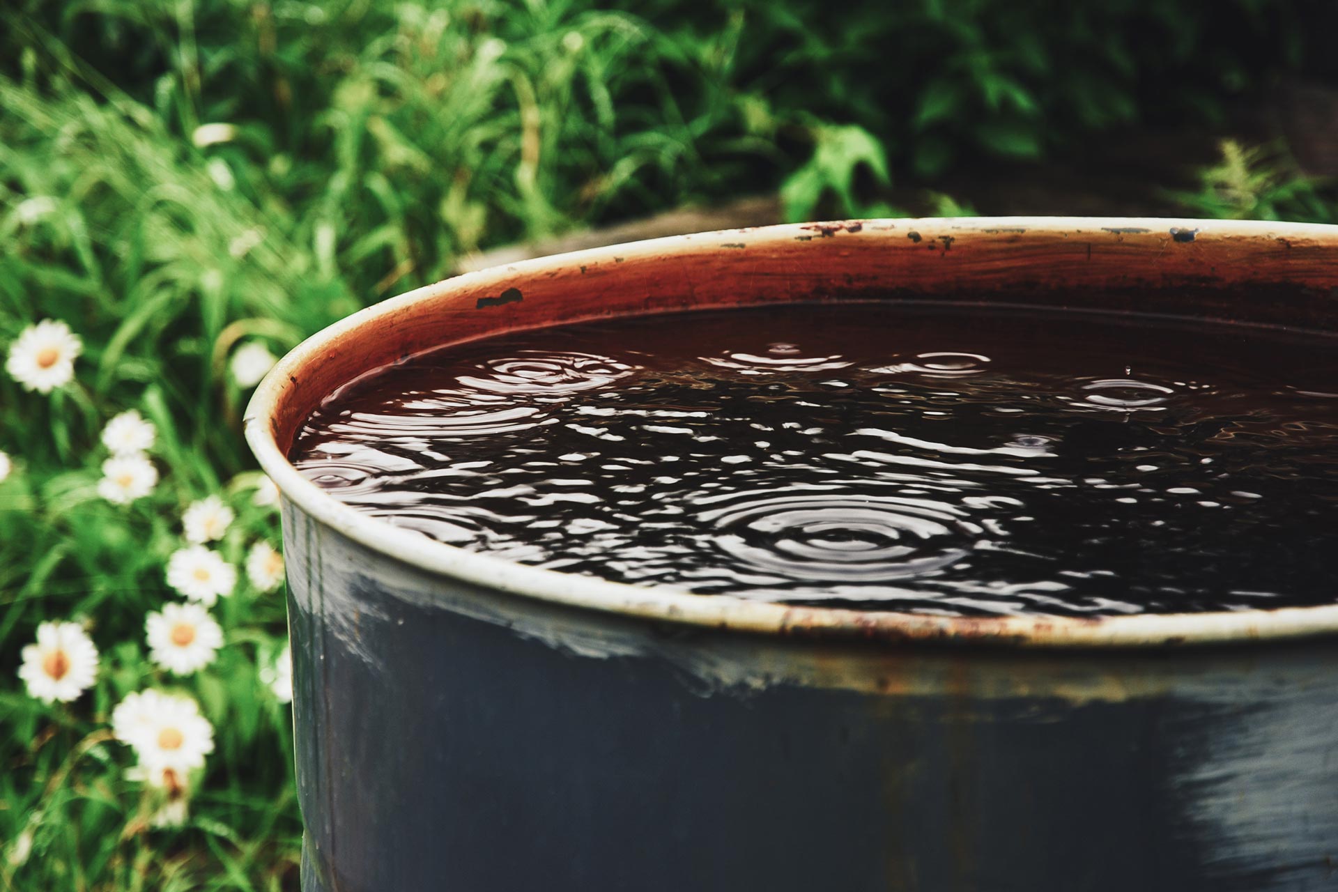 Bidone di raccolta dell'acqua piovana.