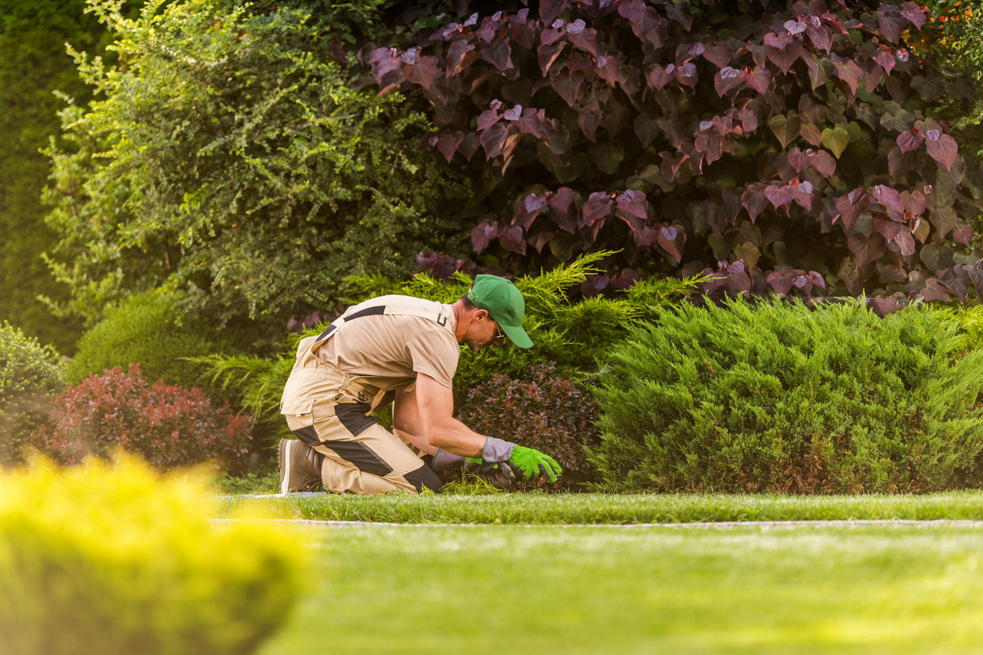 Giardiniere al lavoro sulla bordure