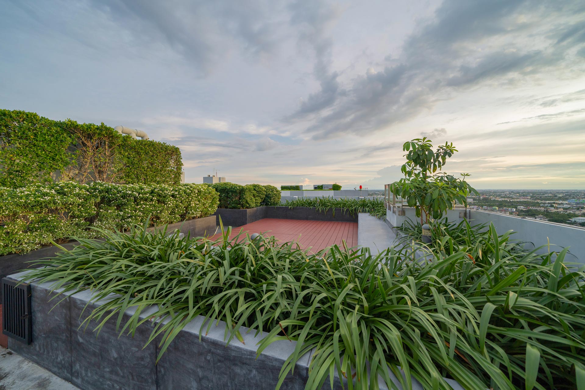 Giardino sul tetto.