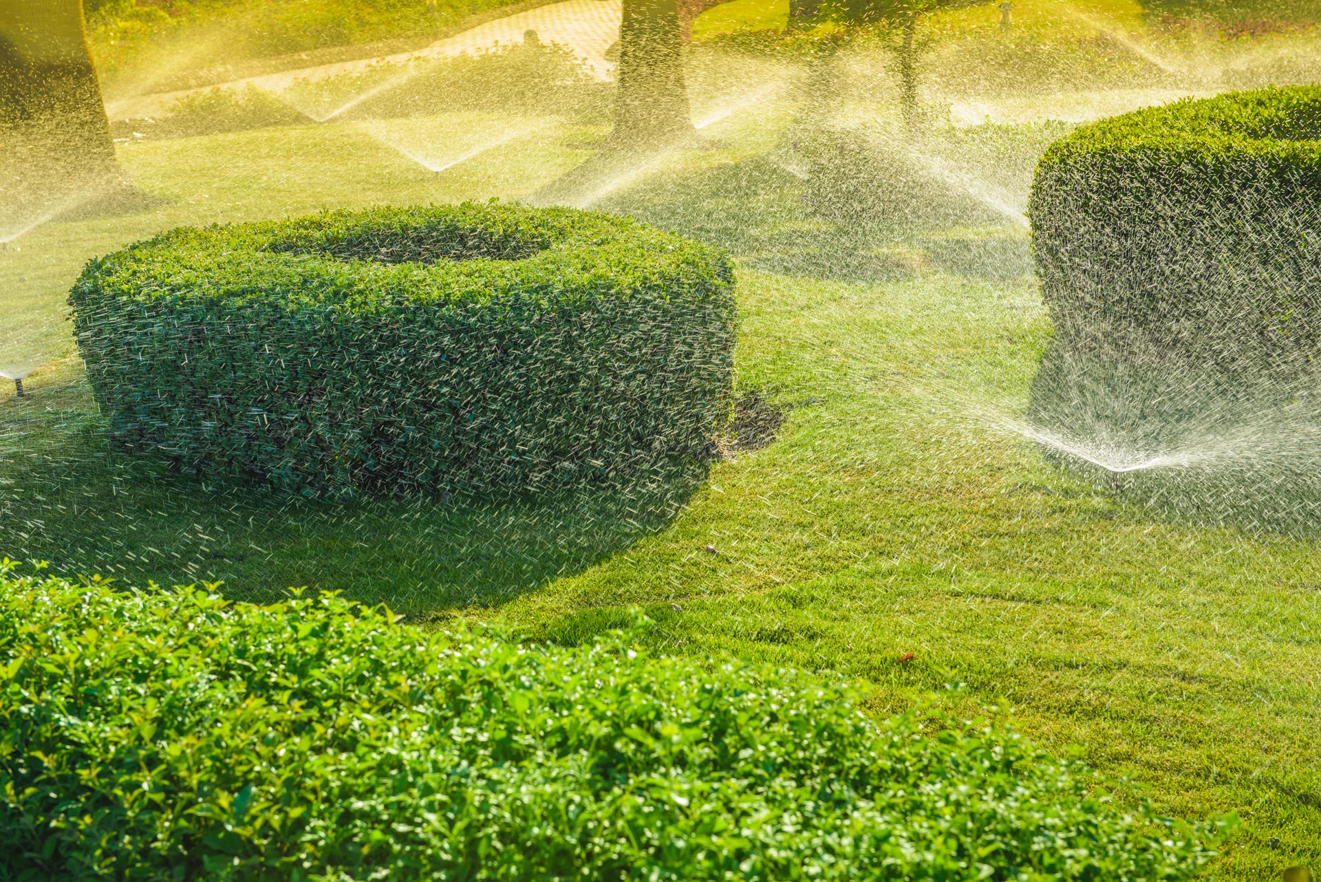 Giardino con irrigazione automatica.