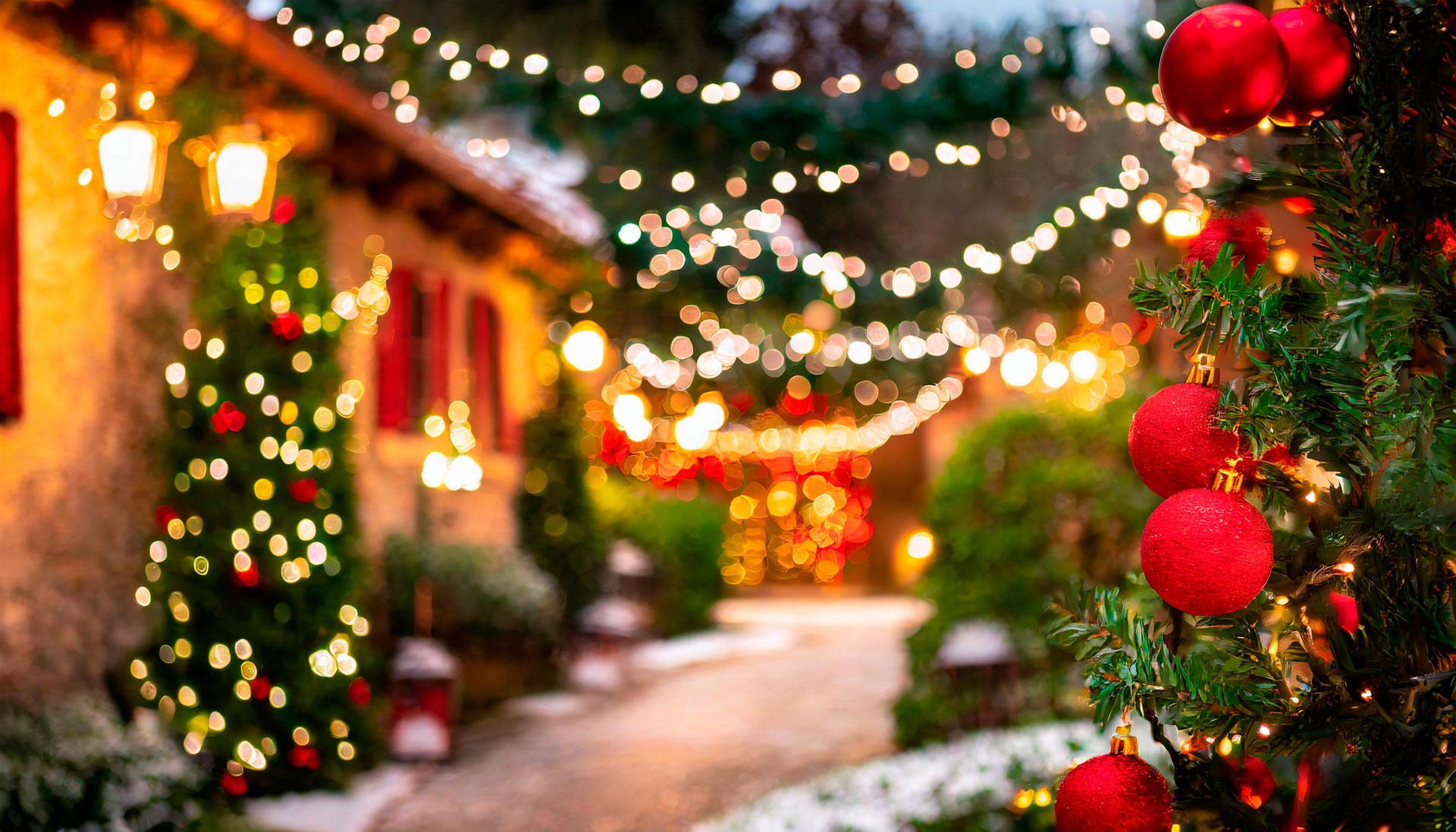 Veduta di un giardino decorato con addobbi natalizi e illuminato da molte luci a LED.